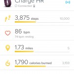 Fitbit Android App