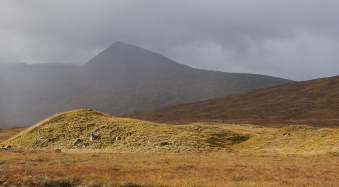 Gadget Man - Gadget Road Trip - Glencoe