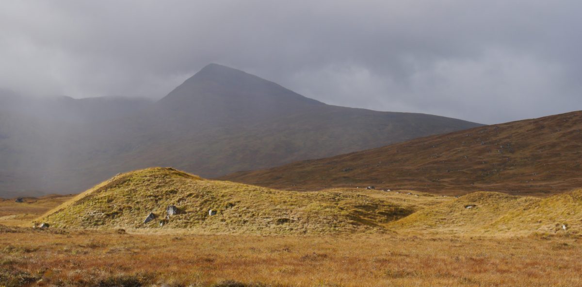 Gadget Man - Gadget Road Trip - Glencoe