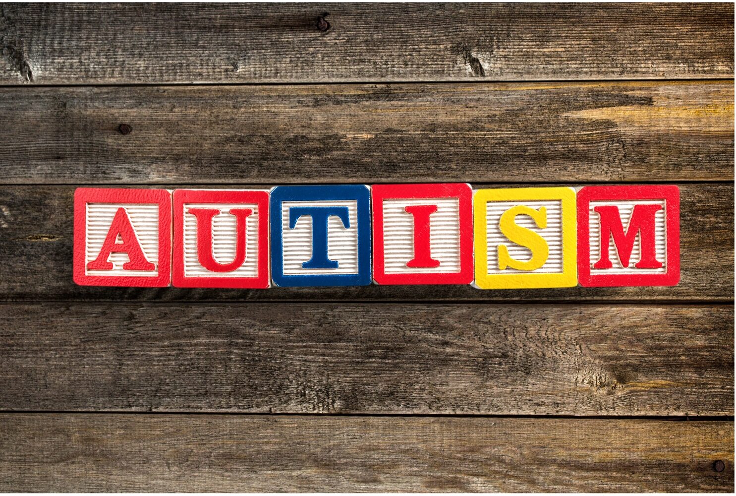The Gadget Man supports twins with autism