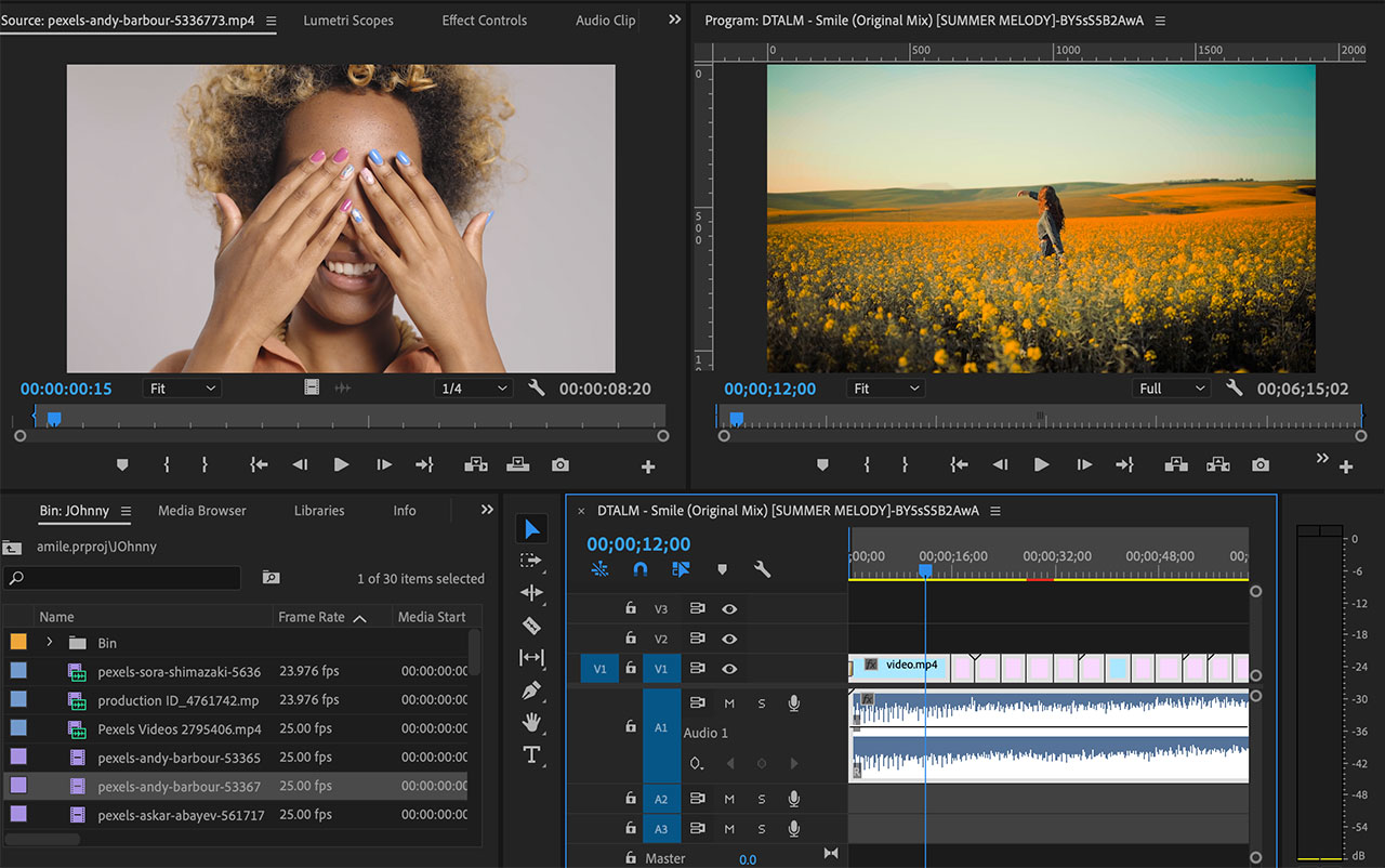 DTALM Smile - Adobe Premiere CC Project