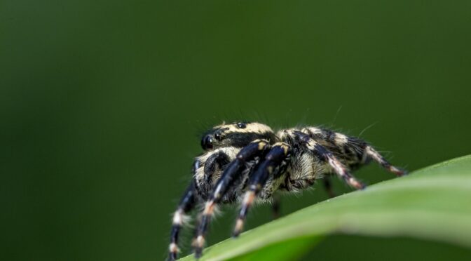 How to Better Indulge in Your Photography Hobby