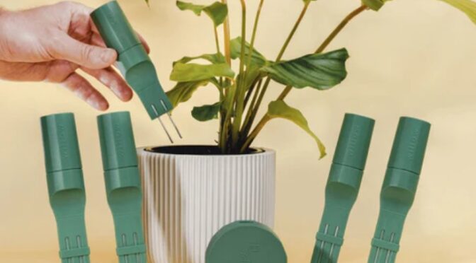 This Compact Sensor Brings Real Intelligence to Plant Care